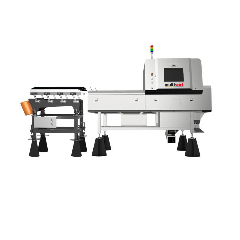 Multisort XA6 Serisi X-Ray Gıda Denetim ve Ayıklama Makinesi